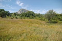 De-Monte-Bulgheria.