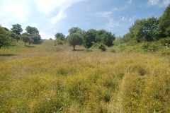 Prachtige-natuur.