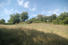 Vriendelijk-landschap.