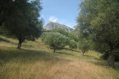 Zicht-op-de-Monte-Bulgheria.