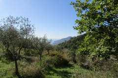 Uitzicht-op-de-Golfo-di-Policastro