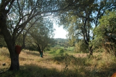 Cilento Droomhuizen 11