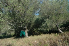 Cilento Droomhuizen 12