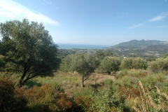 Cilento Droomhuizen 13