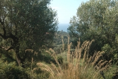 Cilento Droomhuizen 15