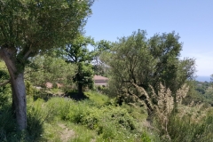 Cilento Droomhuizen 4