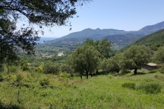 Cilento Droomhuizen 5
