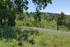 Cilento Droomhuizen 6