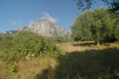 Mediterrane-vegetatie