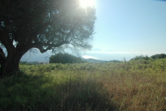fraai-uitzicht-op-de-Golfo-di-Policastro