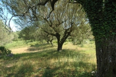 Bouwterrein Amorelli in Cilento (3)