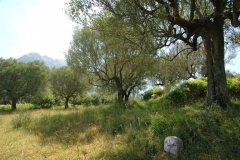 lommerijk bouwterrein in Cilento