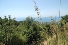 Bouwkavel-nabij-de-kust