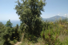 Bouwperceel-bij-de-kust-in-ilento