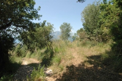 Bouwperceel-met-zeezicht-in-Cilento