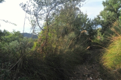 Natuur
