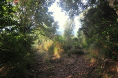 Natuurschoon