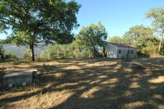 Camping Bufano met olijfboomgaard in Cilento
