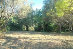 Camping Bufanomet olijfboomgaardBouwgrond met olijfboomgaard