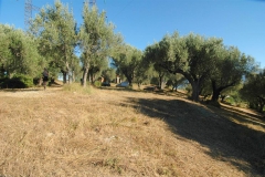 Groot bouwterrein , geschikt als camping in Zuid-Italë