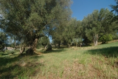 Cilento Droomhuizen 24
