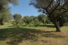 Cilento Droomhuizen 25