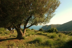 Cilento-prachtige vergezichten (2)