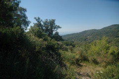 natuur-2