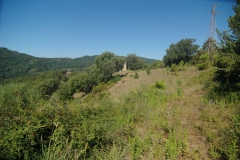 natuur-3