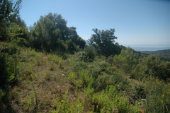 natuur