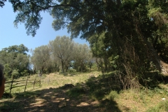 Cilento Droomhuizen 1