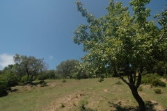 Cilento Droomhuizen 10