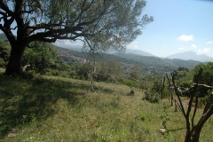 Cilento Droomhuizen 15