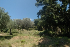 Cilento Droomhuizen 2