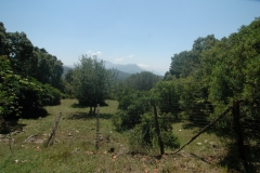 Cilento Droomhuizen 20