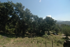 Cilento Droomhuizen 3
