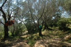Cilento Droomhuizen 5