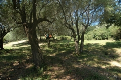 Cilento Droomhuizen 6