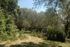 Cilento Droomhuizen 7