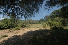 Cilento Droomhuizen 8