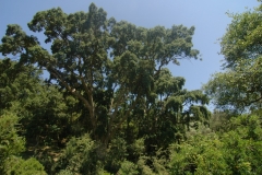 Cilento Droomhuizen 9