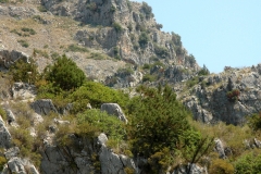 Ongerepte kust (10)