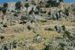 Ongerepte kust (4)