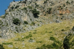 Ongerepte kust (5)