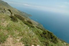 Ongerepte kust (9)