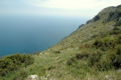 Oogverblindend mooi (6)
