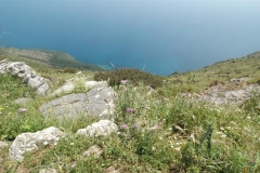 Oogverblindend mooi (7)