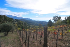 Cilento-Droomhuizen-8.