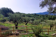Cilento-droomhuizen-12