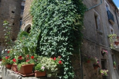 De Via Roma in San Giovaii a Piro (3)